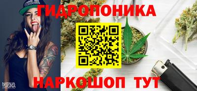 скорость Большой Камень