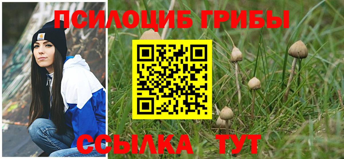 Галлюциногенные грибы GOLDEN TEACHER Берёзовский