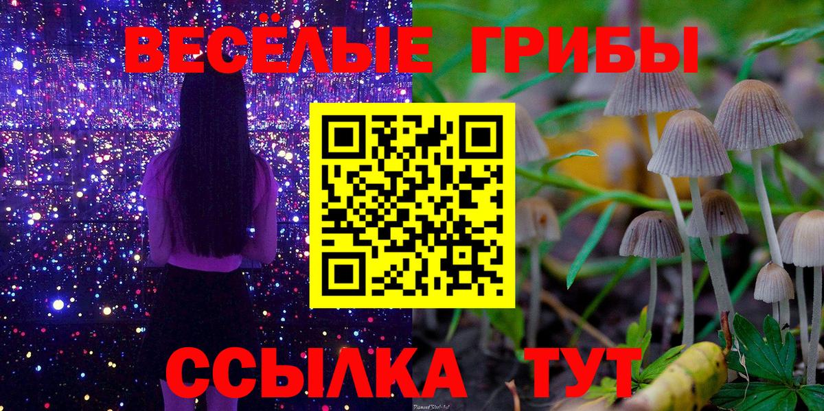 Псилоцибиновые грибы GOLDEN TEACHER  Вход с VPN  Берёзовский 