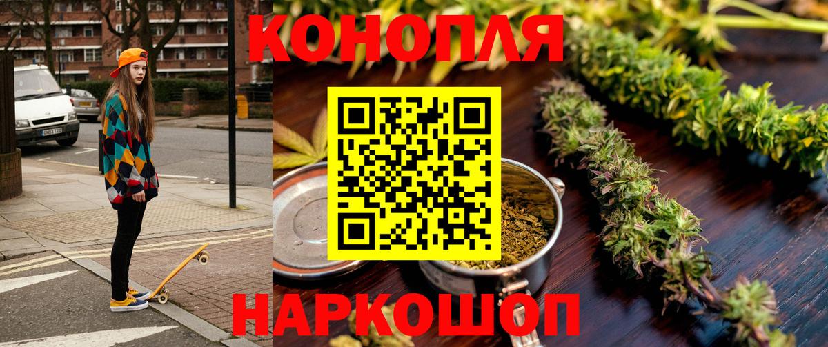 Конопля OG Kush Берёзовский